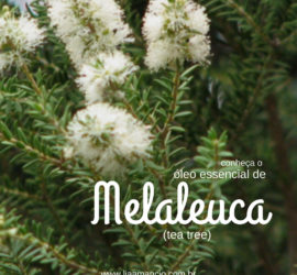 Óleo essencial de melaleuca
